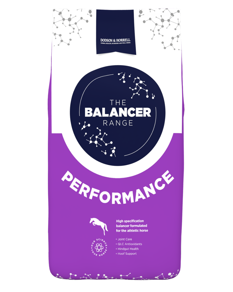 Dodson and Horrell Performance Balancer - 15kg