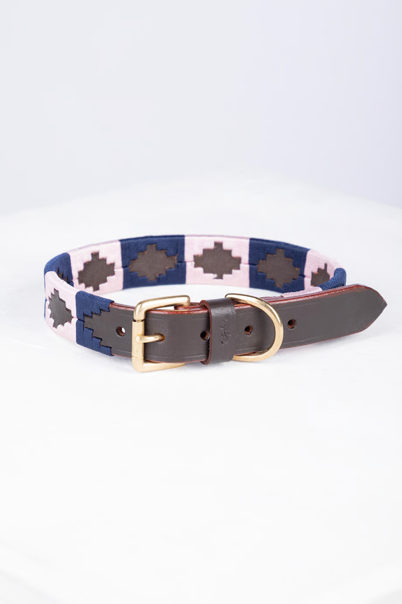 Rydale Polo Belt Dog Collar - Brown/Navy/Sorbet