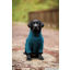 Rydale Yapham Fleece Dog Jumper - Teal
