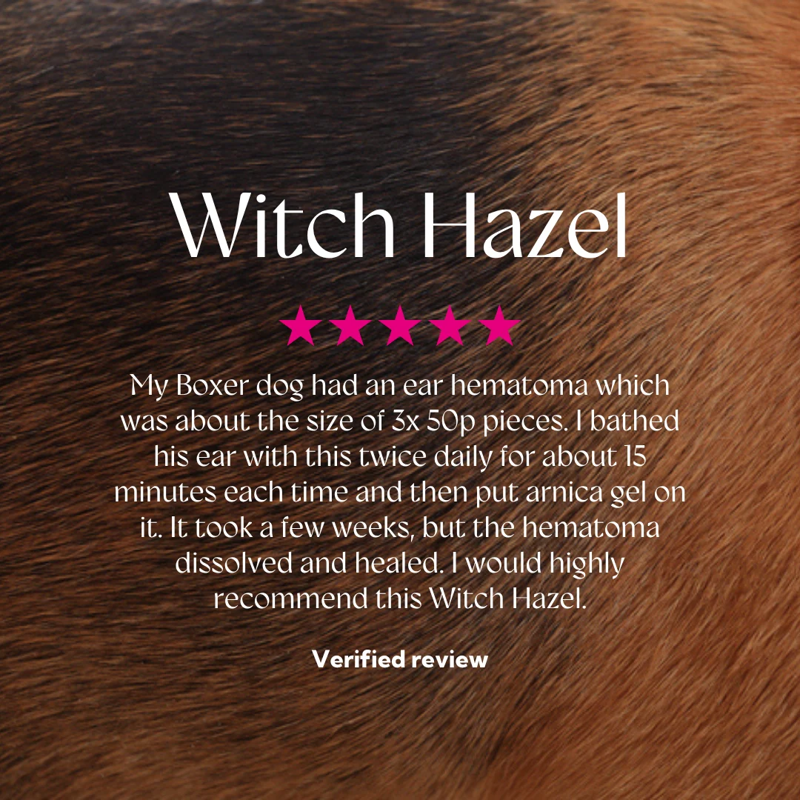 Hilton Herbs Witch Hazel Cooling and Astringent Lotion - 1 litre-3