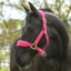 Equilibrium Stellar Style Headcollar - Pink