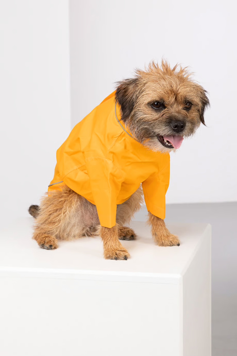 Rydale Yapham Dog Raincoats - Yellow-1