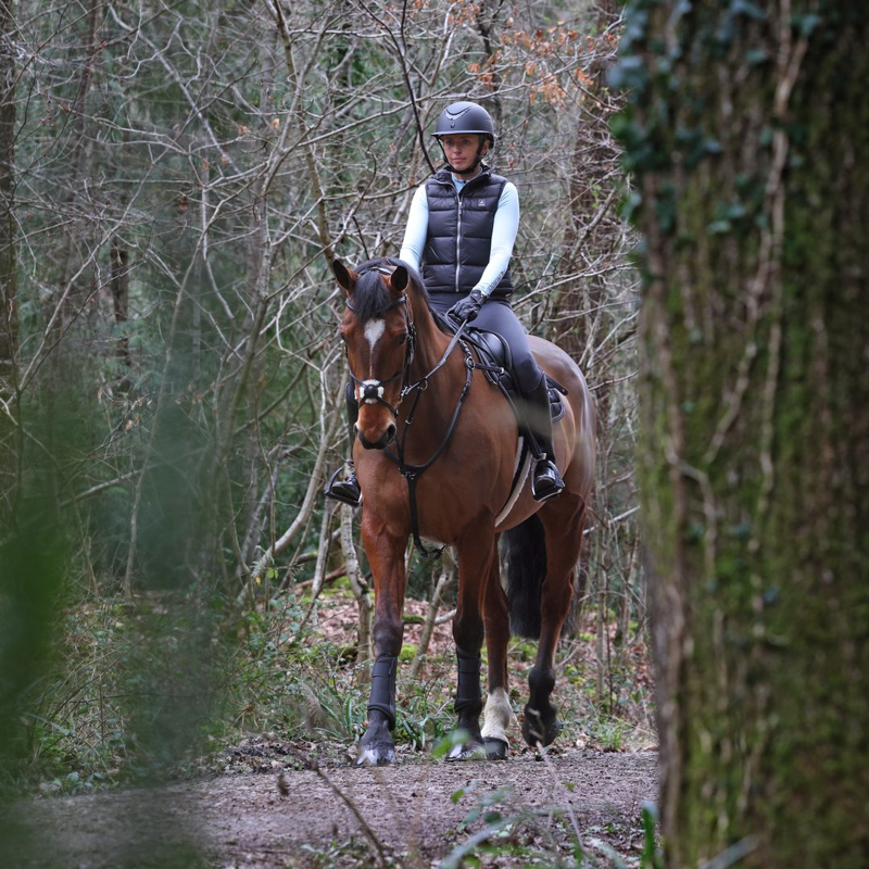Shires Aubrion React Insulated Gilet - Charcoal-1