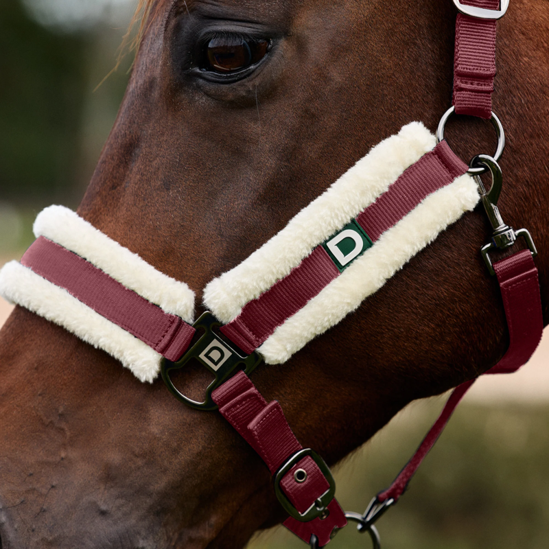 Dublin Soft Fit Headcollar - Burgundy-2