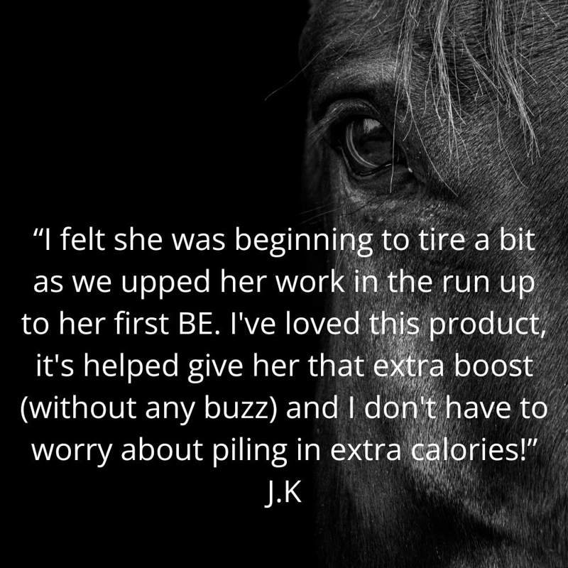 Pro-Equine Stamina Recovery Formula-2