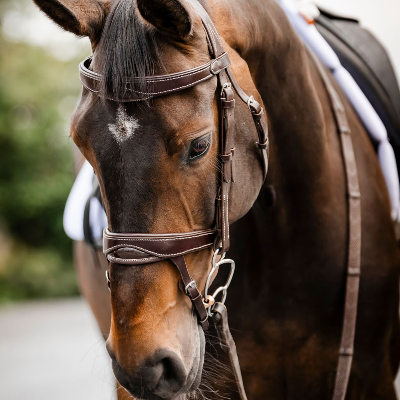 Cameo ComfortPro Anatomic Bridle with Rubber Grip Reins - Chestnut-1