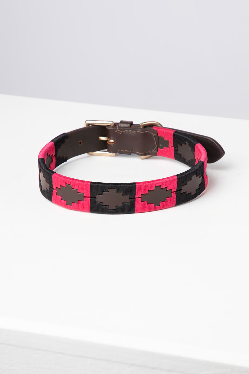 Rydale Polo Belt Dog Collar - Brown/Black/Bonbon-1