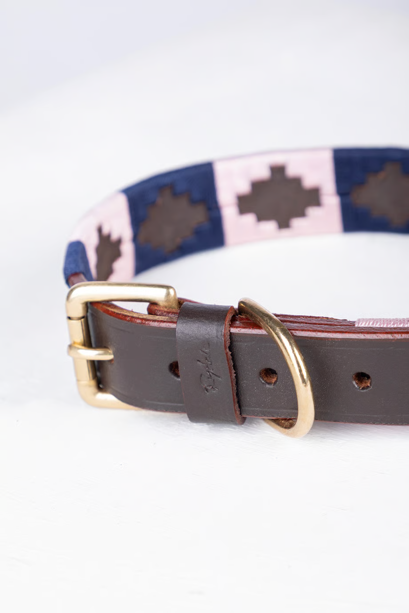 Rydale Polo Belt Dog Collar - Brown/Navy/Sorbet-2