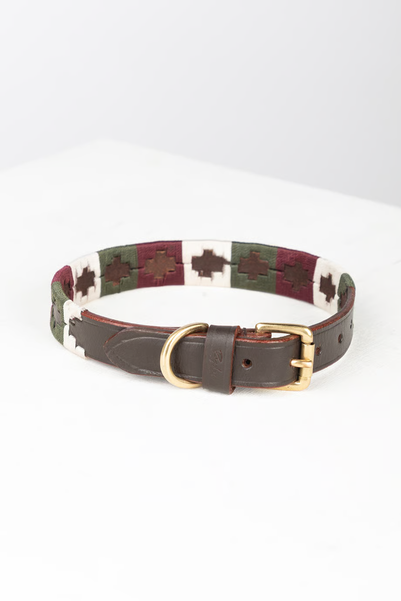 Rydale Polo Belt Dog Collar - Olive/White/Burgundy