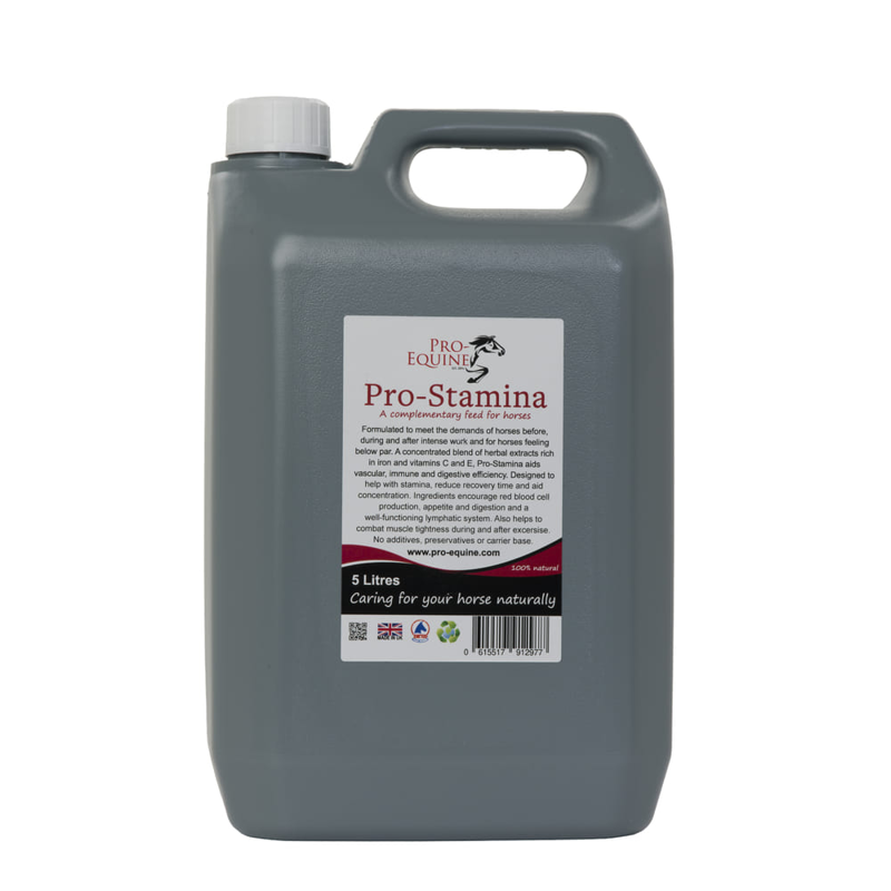 Pro-Equine Stamina Recovery Formula-1