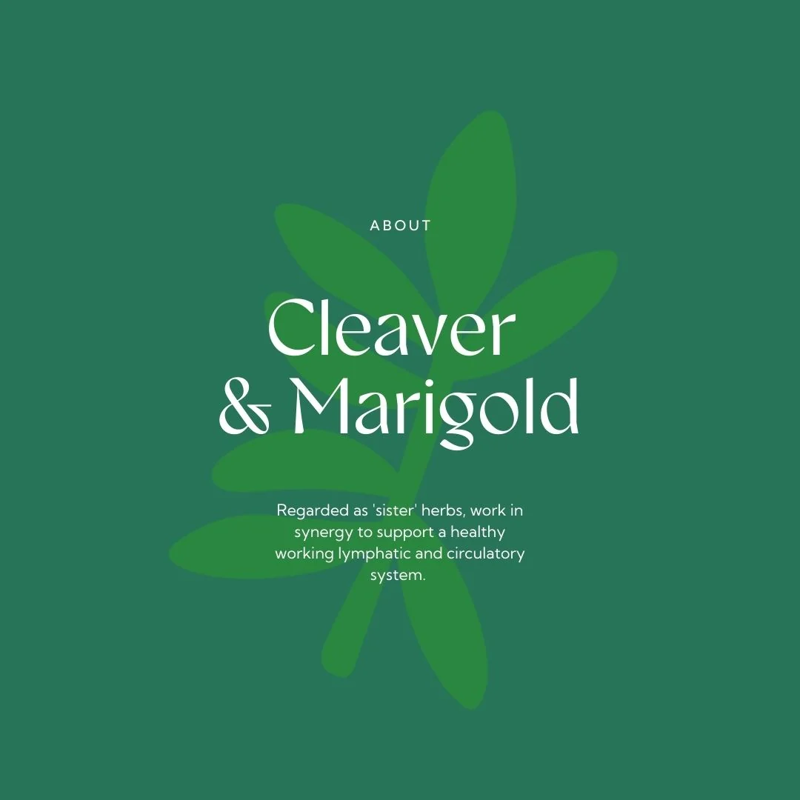 Hilton Herbs Cleaver and Marigold Lymphatic and Glandular Supplement - 750g-6