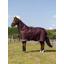 LeMieux Arika Ripstop 200g Turnout Rug - Bramble