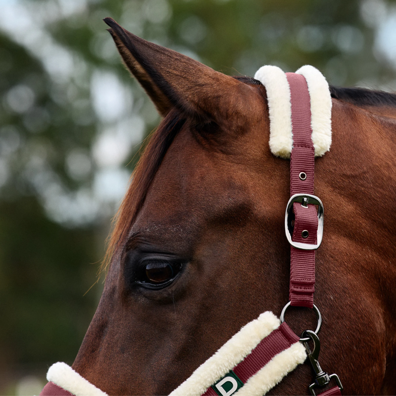 Dublin Soft Fit Headcollar - Burgundy-1