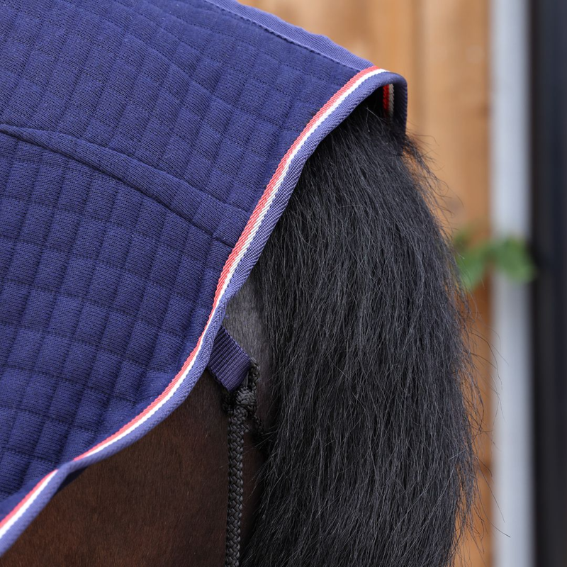LUCCA Wicking Cooler Rug - Navy-4