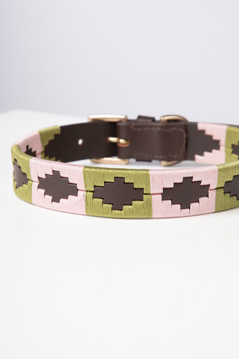 Rydale Polo Belt Dog Collar - Brown/Sage/Sorbet-2