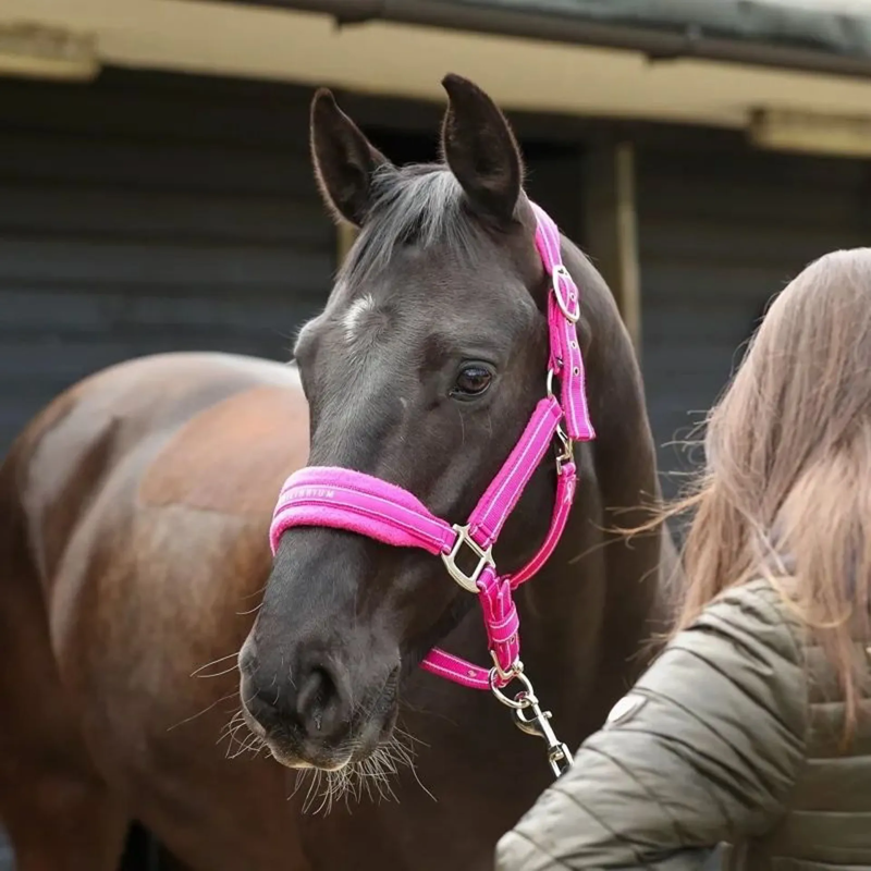 Equilibrium Stellar Style Headcollar - Pink-2