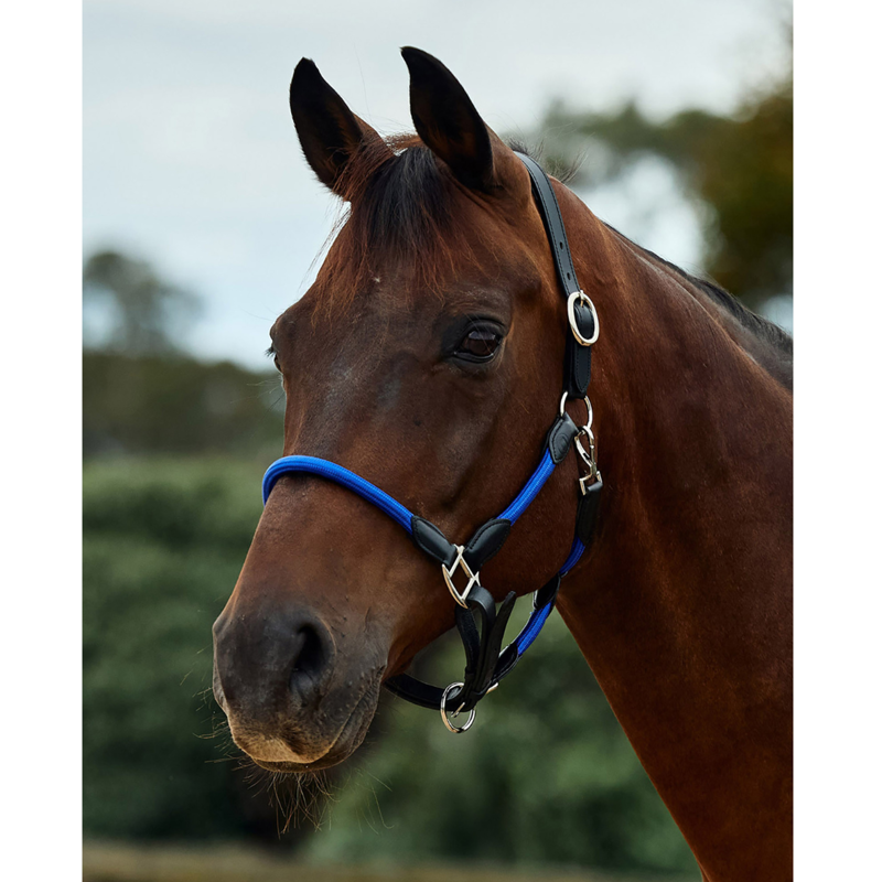 Dublin Leather Rope Headcollar - Cobalt/Black-1