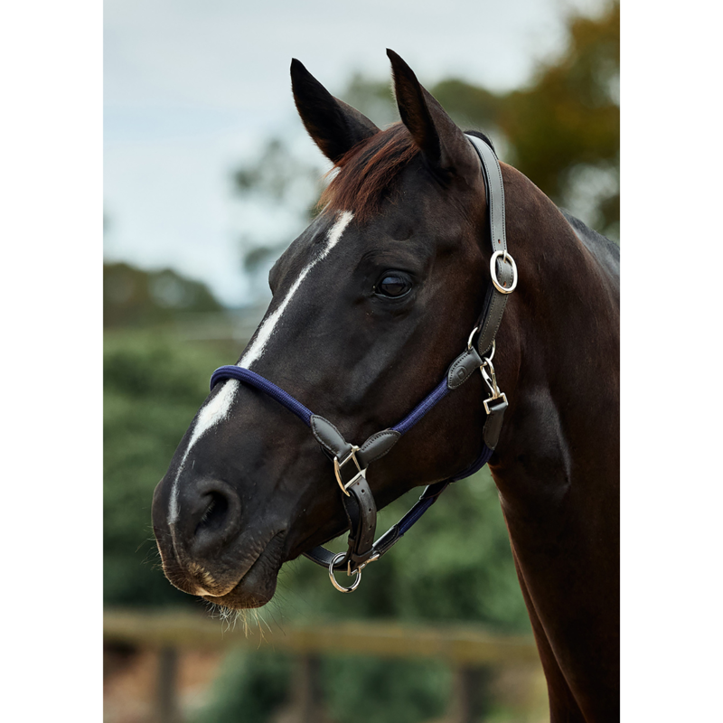 Dublin Leather Rope Headcollar - Navy/Brown