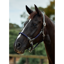 Dublin Leather Rope Headcollar - Navy/Brown