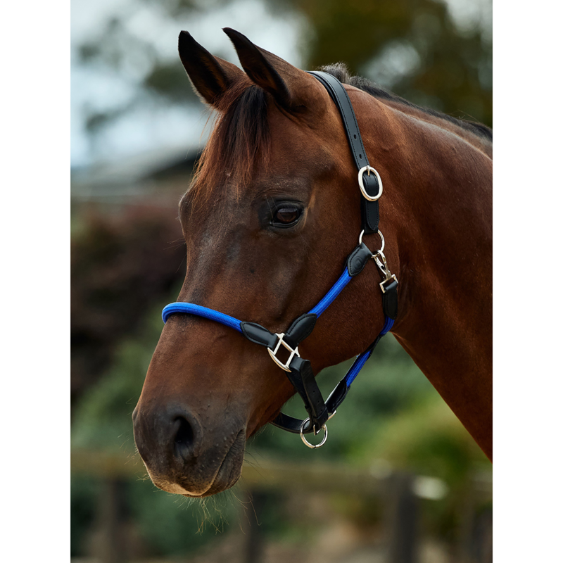 Dublin Leather Rope Headcollar - Cobalt/Black
