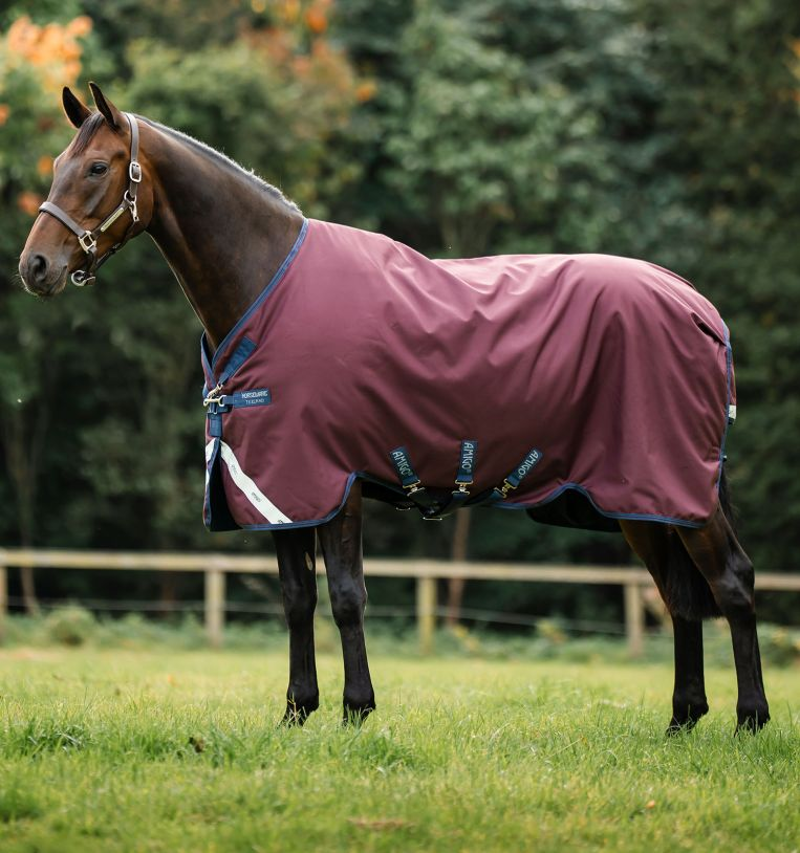 Horseware Amigo 1200D 100g Turnout Rug - Burgundy/Navy and Titanium Grey-2