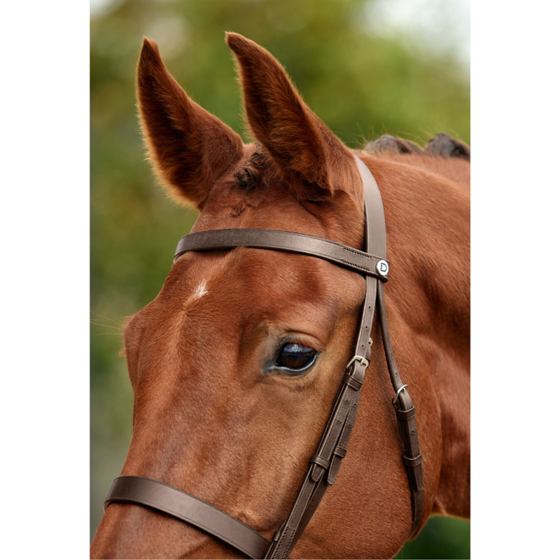 Dublin Flat Cavesson Bridle - Brown-1