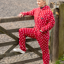 Supreme Products Adults Dotty Fleece Onesie - Rich Raspberry