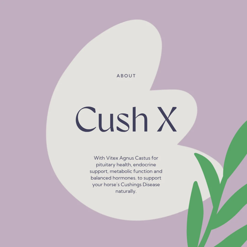 Hilton Herbs Cush X Endocrine System Liquid Supplement - 1L-4
