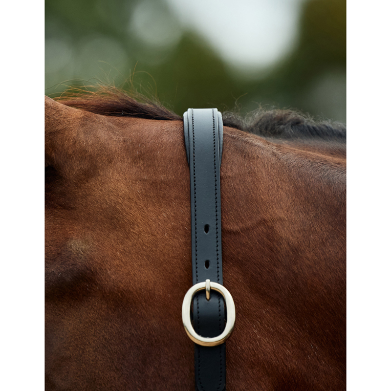 Dublin Leather Rope Headcollar - Cobalt/Black-2