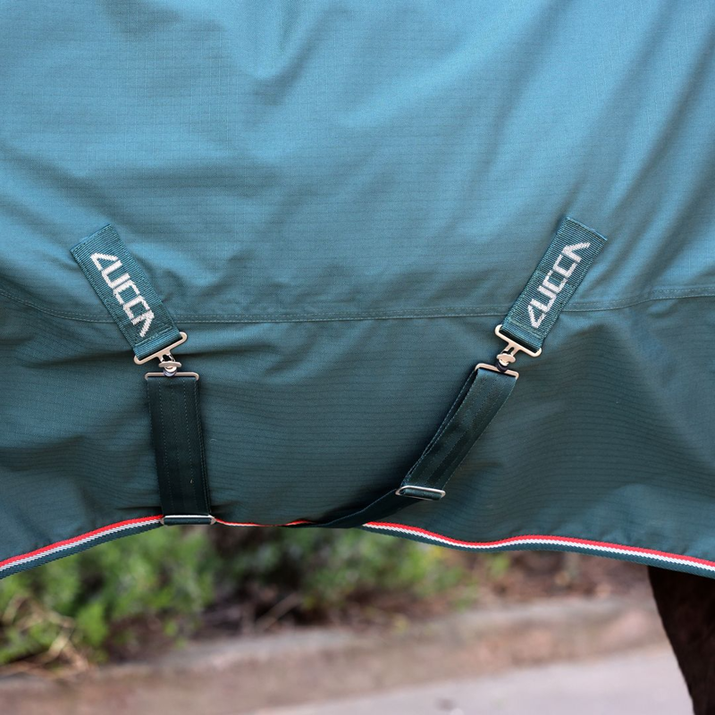 LUCCA 50g Lightweight Turnout Rug - Green-3