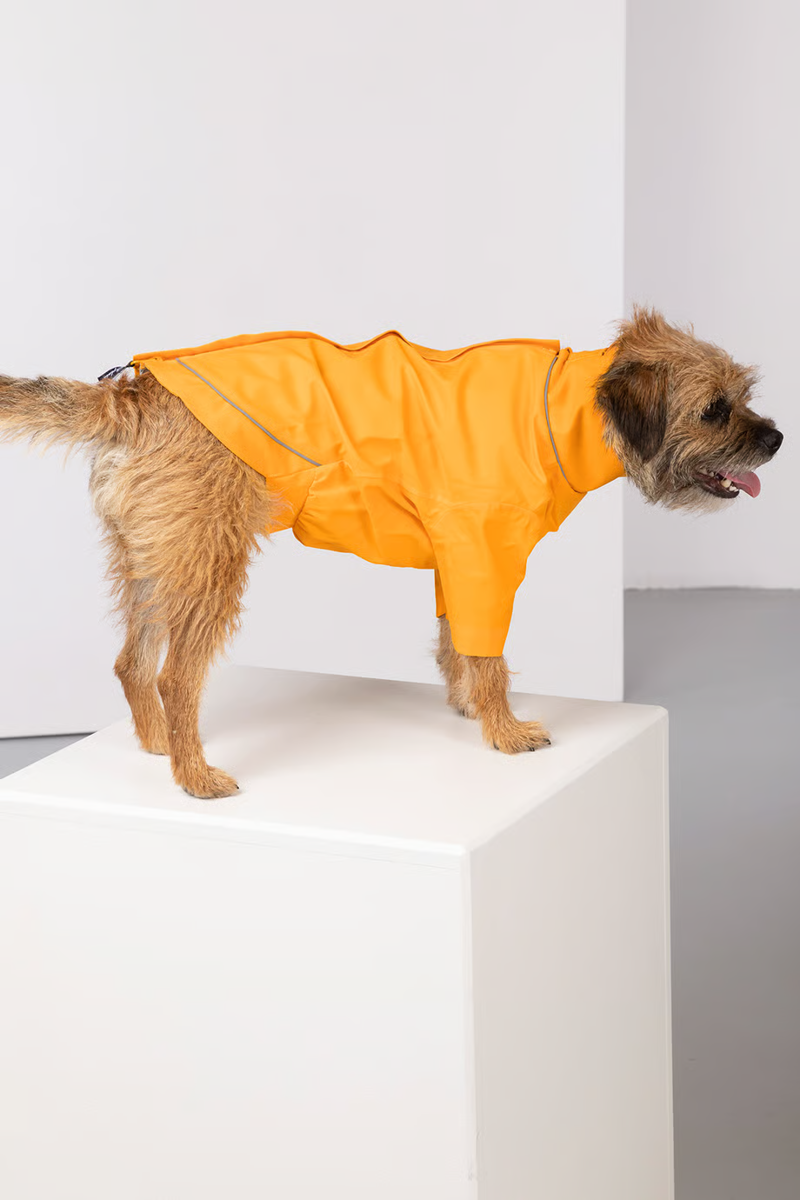 Rydale Yapham Dog Raincoats - Yellow
