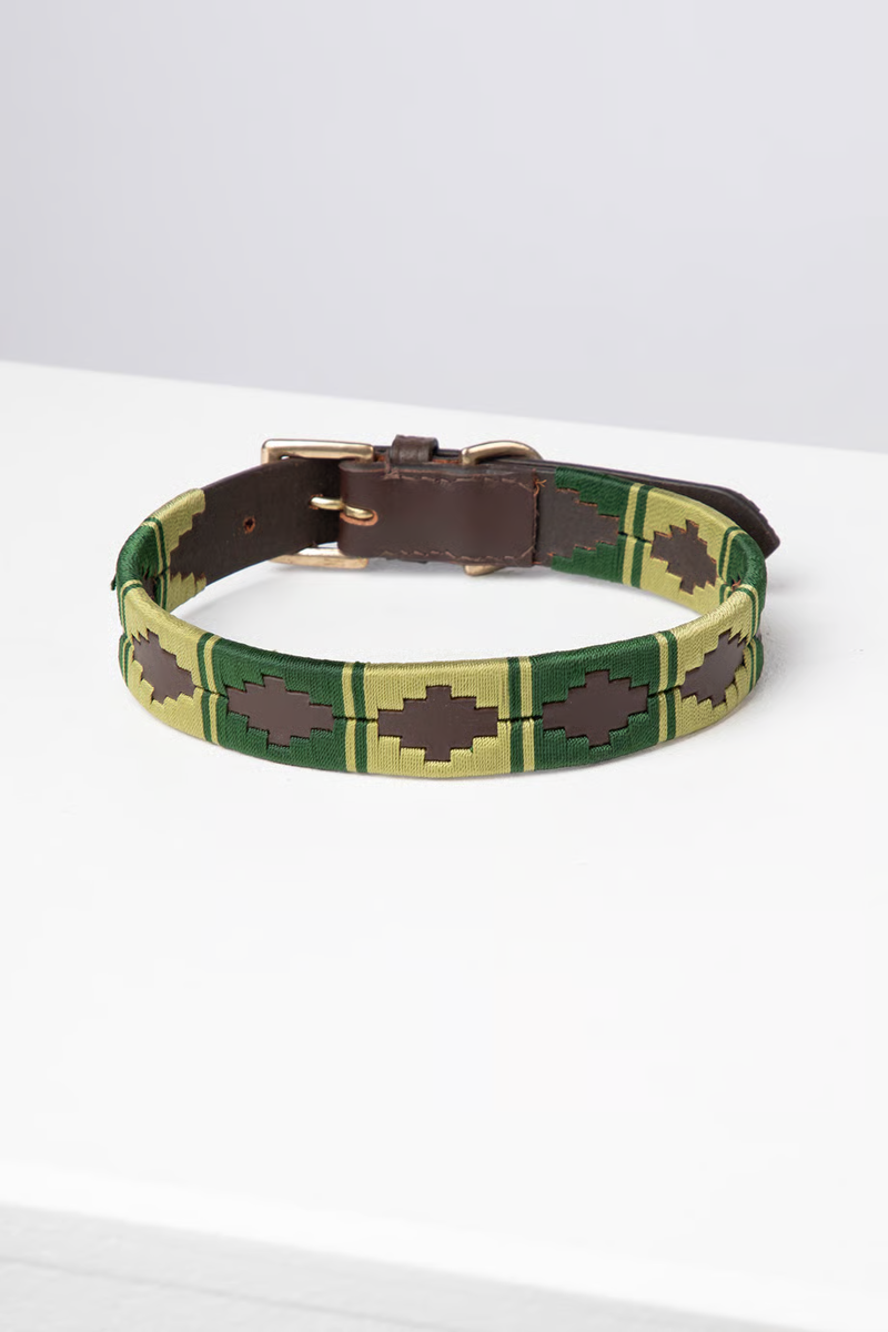 Rydale Polo Belt Dog Collar - Brown/Green/Olive-1