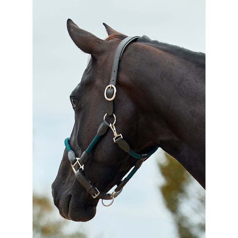 Dublin Leather Rope Headcollar - Hunter Green/Brown-1
