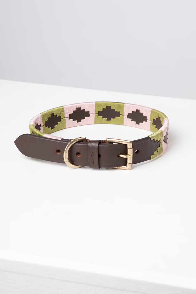 Rydale Polo Belt Dog Collar - Brown/Sage/Sorbet