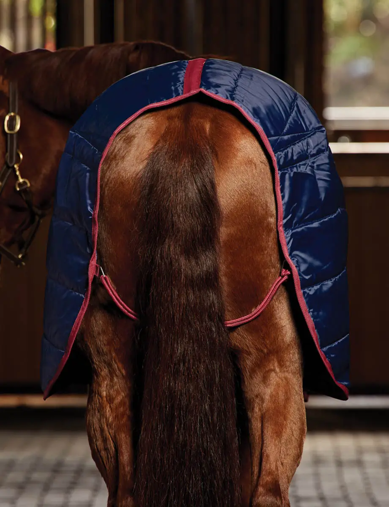 WeatherBeeta 360g Stable Rug - Navy/Burgundy-1