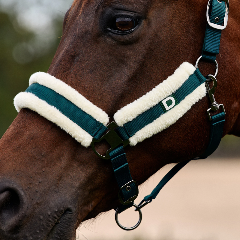 Dublin Soft Fit Headcollar - Green-2