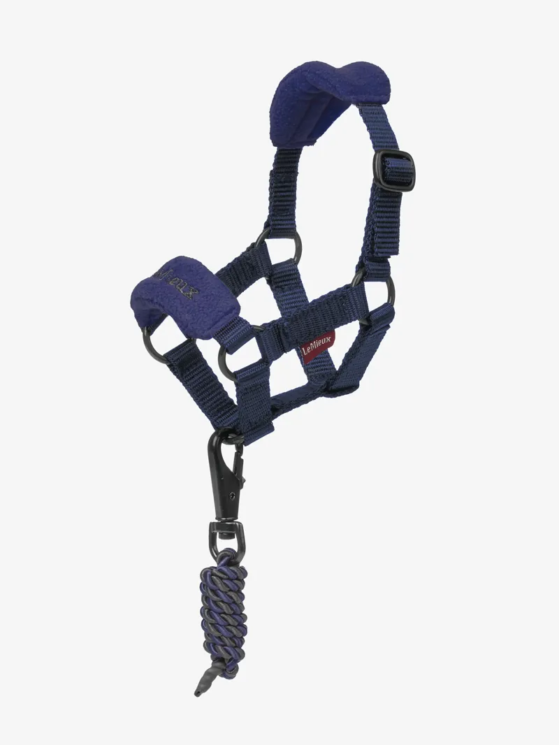 LeMieux Toy Pony Vogue Headcollar - Ink Blue
