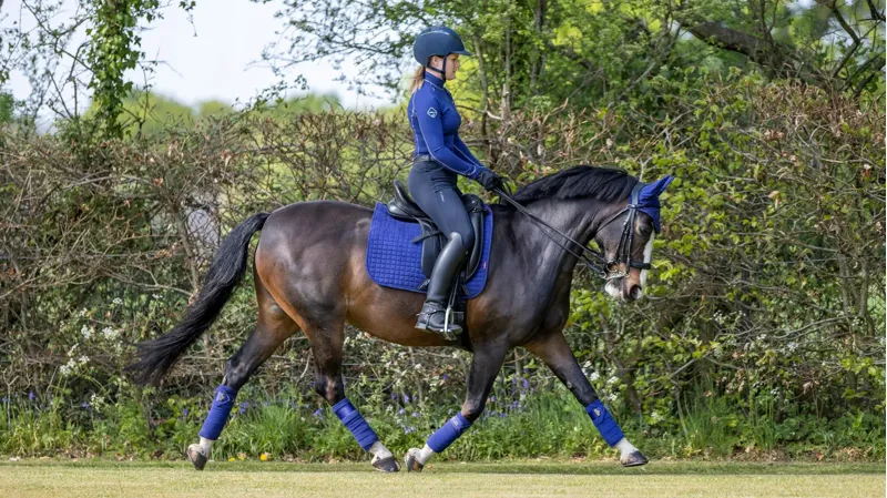 LeMieux Suede Dressage Square Saddle Pad - Ink Blue-3