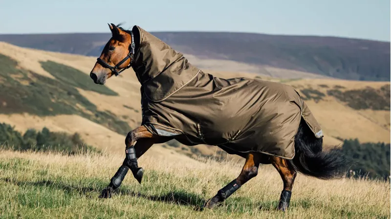 LeMieux Arika Ripstop 0g Turnout Rug - Alpine-2