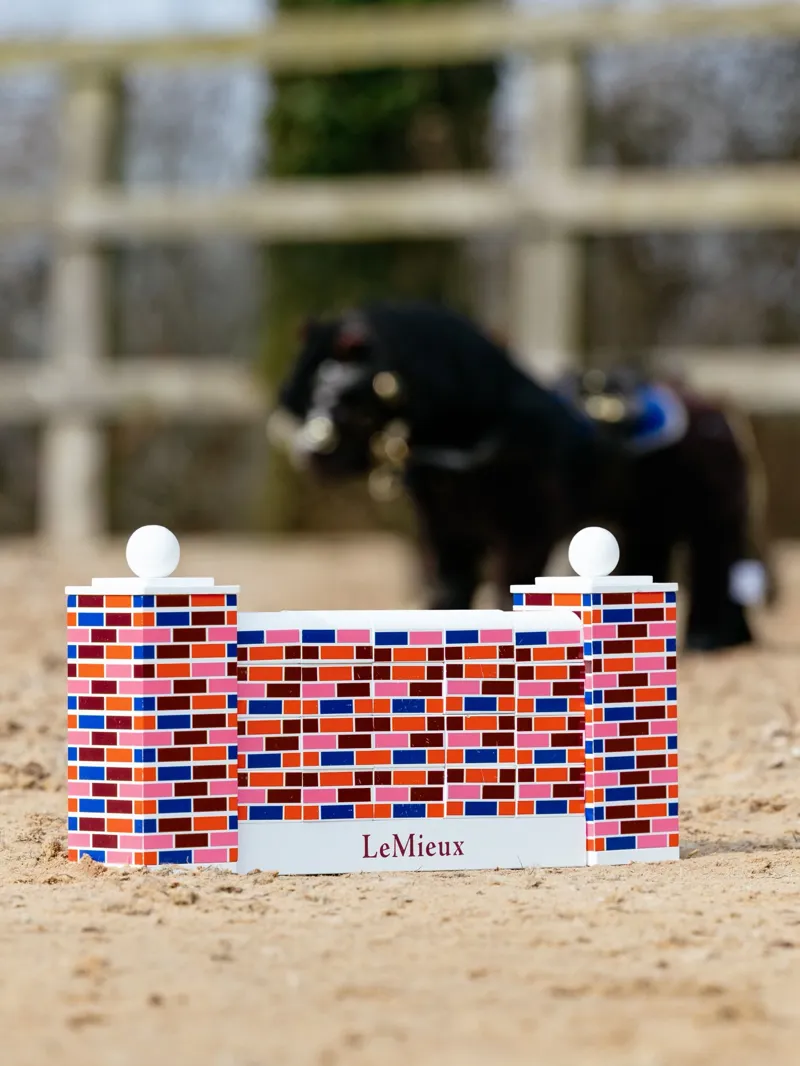 LeMieux Toy Pony Puissance Wall - Multi-2