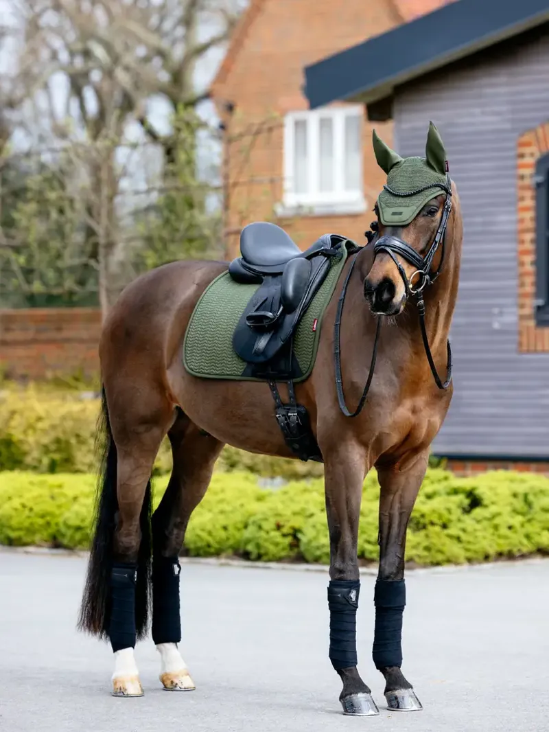 LeMieux Essence Fly Hood - Pine Green-1