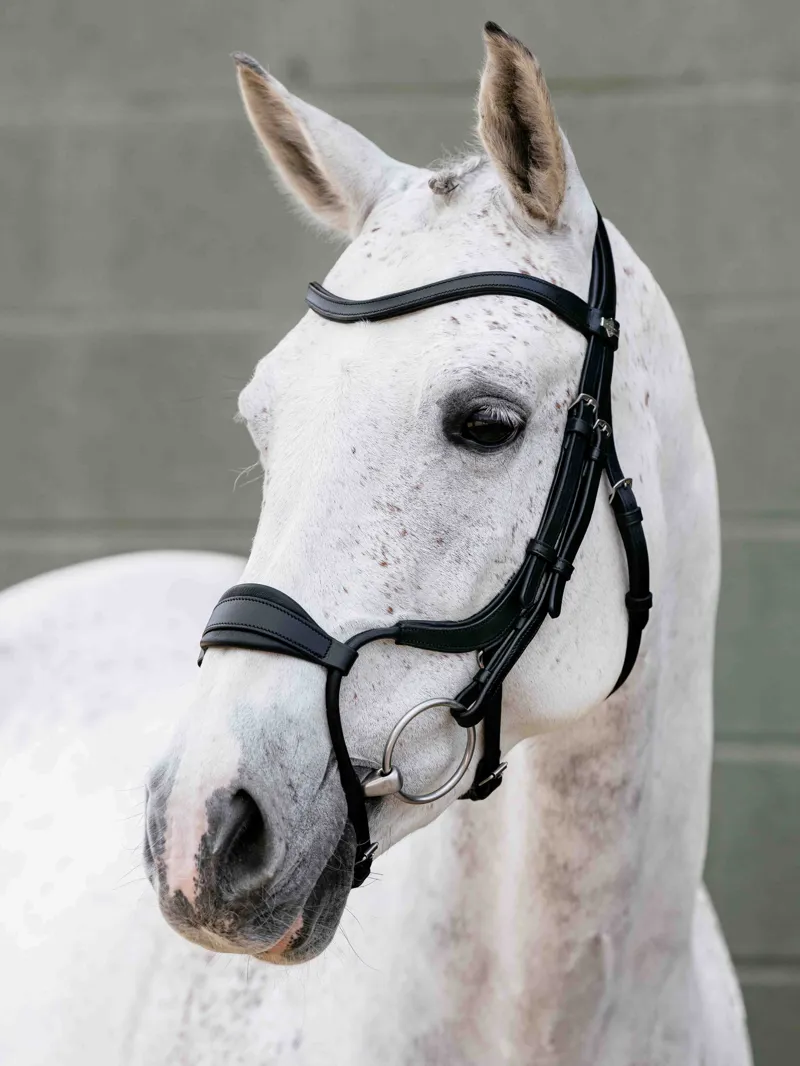 LeMieux Arika Adjustable Anatomic Noseband Bridle - Black/Silver-1