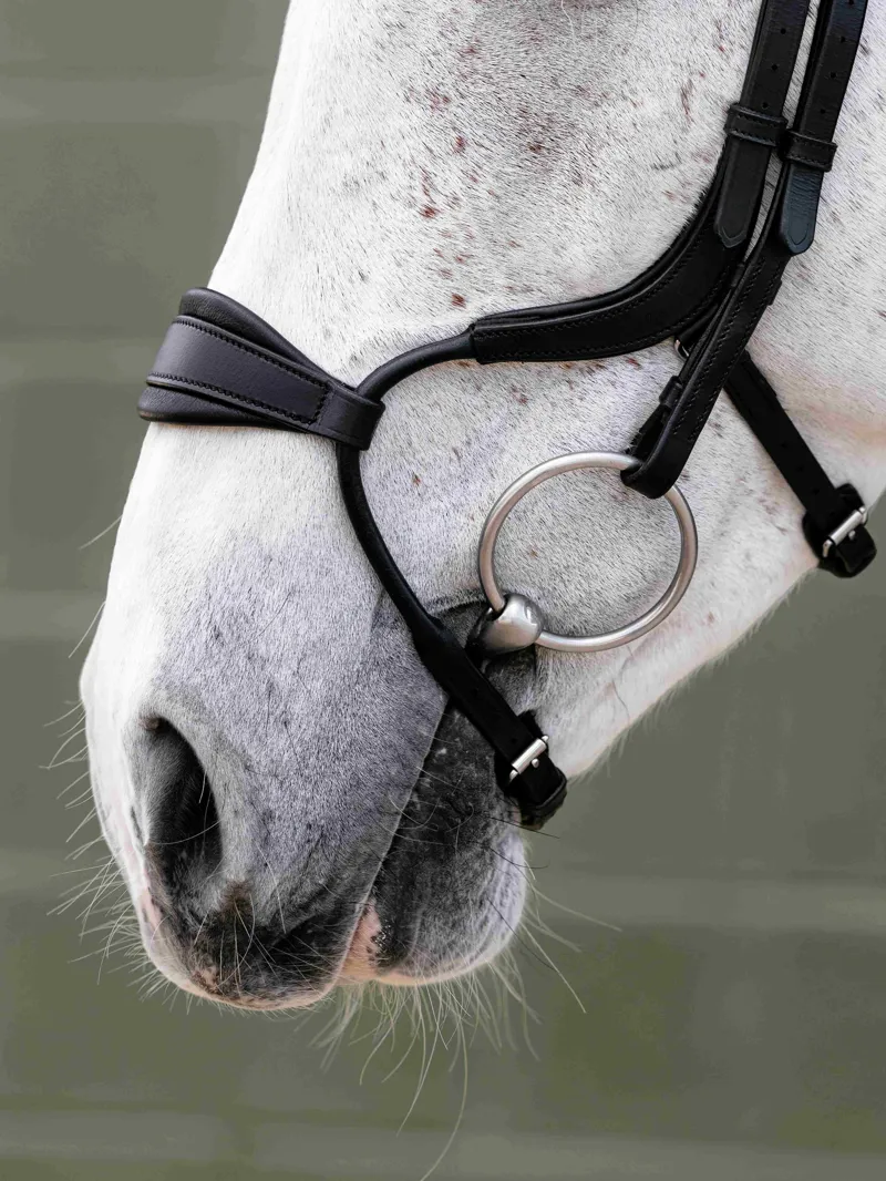 LeMieux Arika Adjustable Anatomic Noseband Bridle - Black/Silver-2