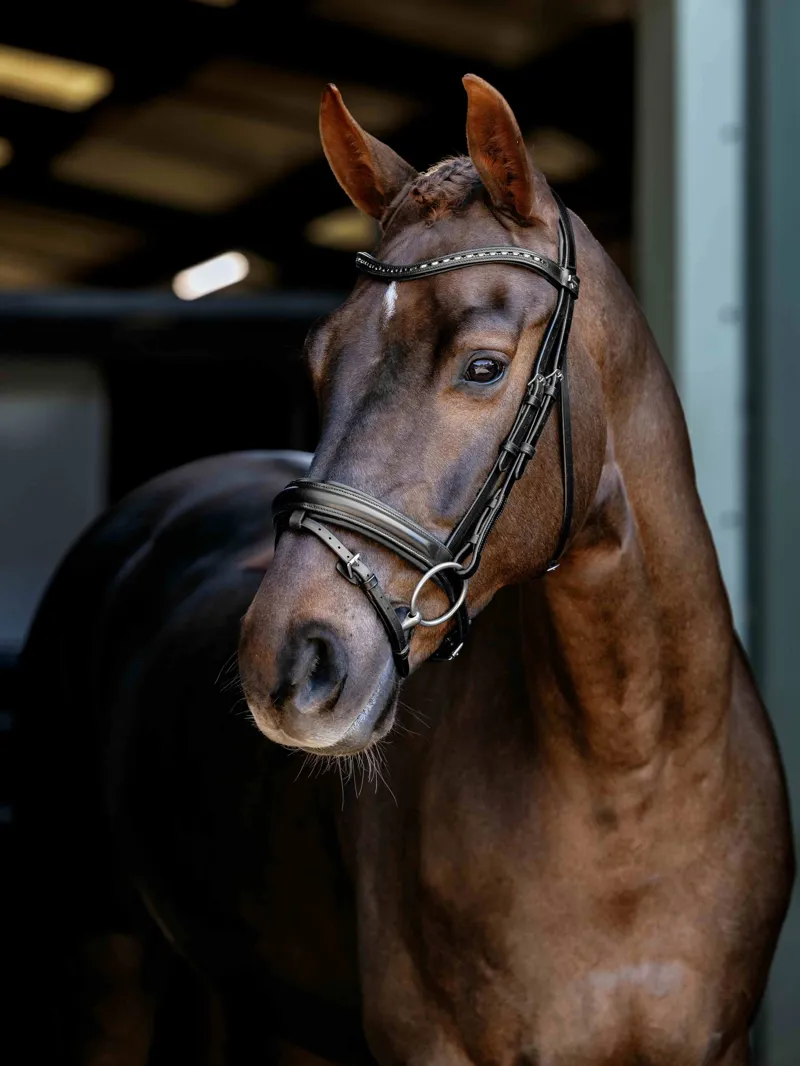 LeMieux Arika Dressage Bridle - Black/Silver