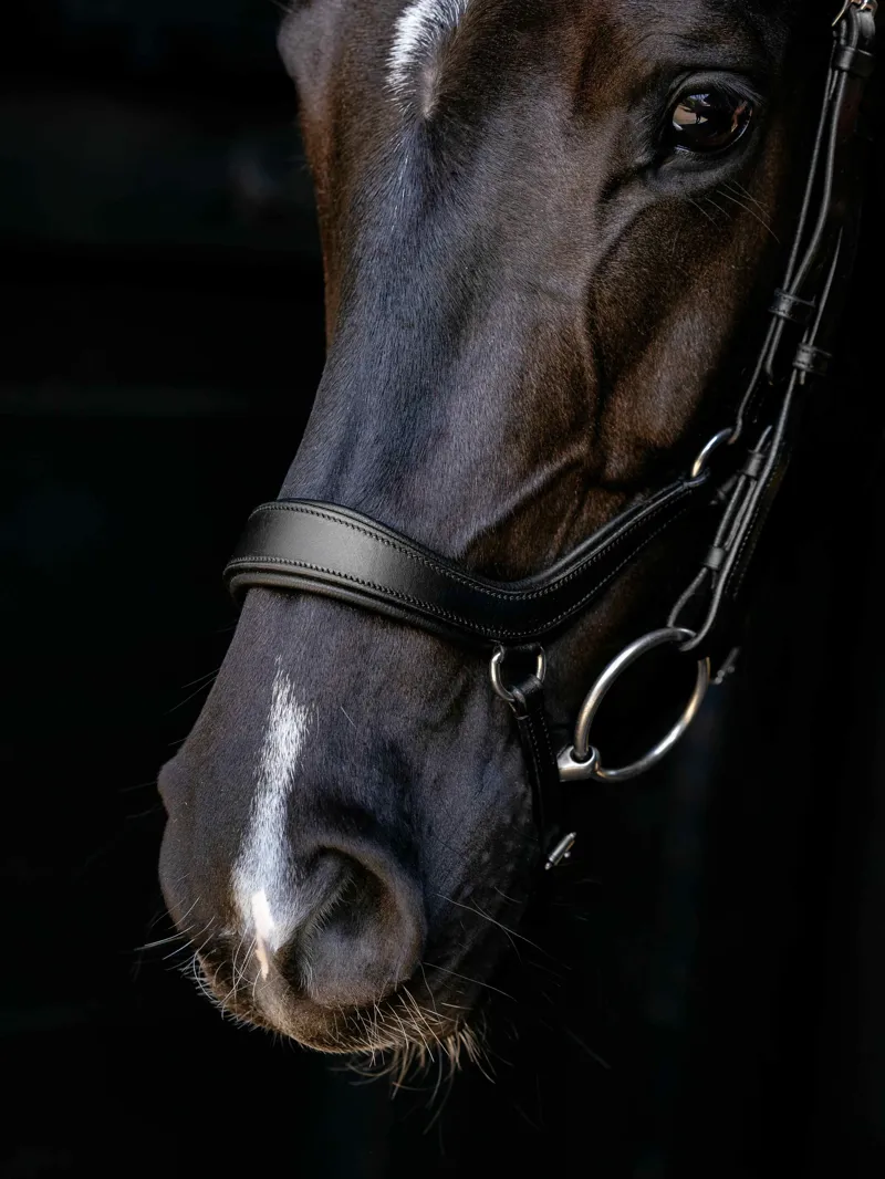 LeMieux Arika Drop Bridle - Black/Silver-1