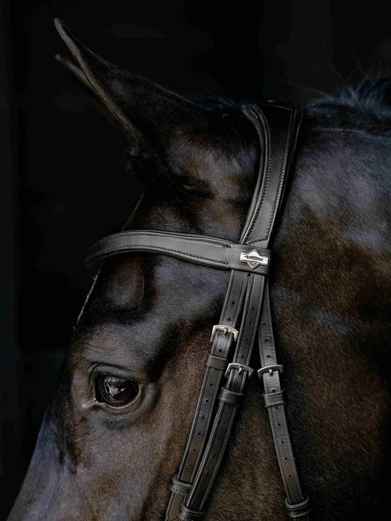 LeMieux Arika Drop Bridle - Black/Silver-2