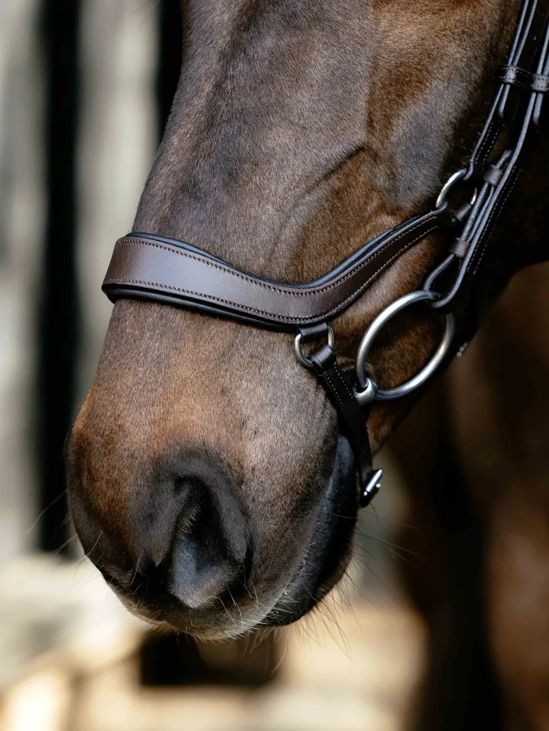 LeMieux Arika Drop Bridle - Brown/Silver-2