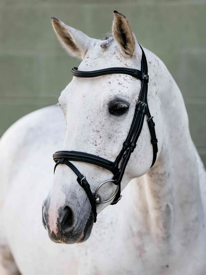 LeMieux Arika Flash Bridle - Black/Silver