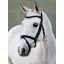 LeMieux Arika Flash Bridle - Black/Silver