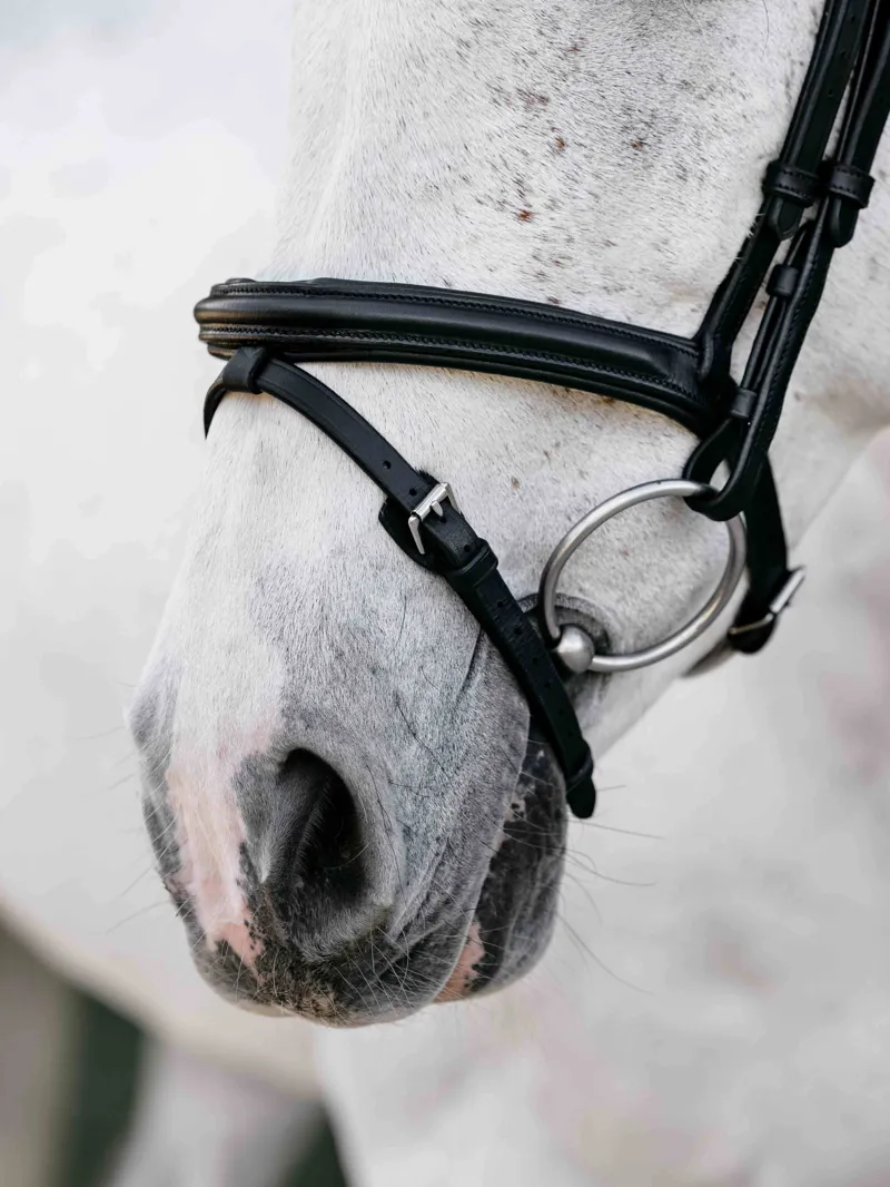 LeMieux Arika Flash Bridle - Black/Silver-3